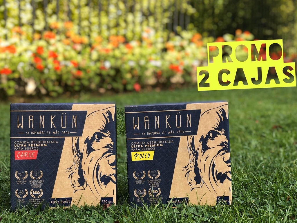 Pack de 2 cajas WANKÜN perro adulto